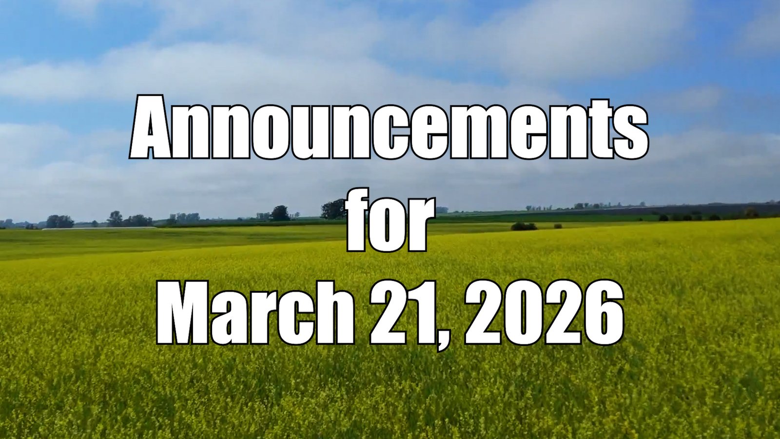 A wide field of yellow flowers stretches across the foreground beneath a partly cloudy blue sky, with a line of green trees in the distance. Bold white text with a black outline centered over the image reads, “Announcements for March 21, 2026.”