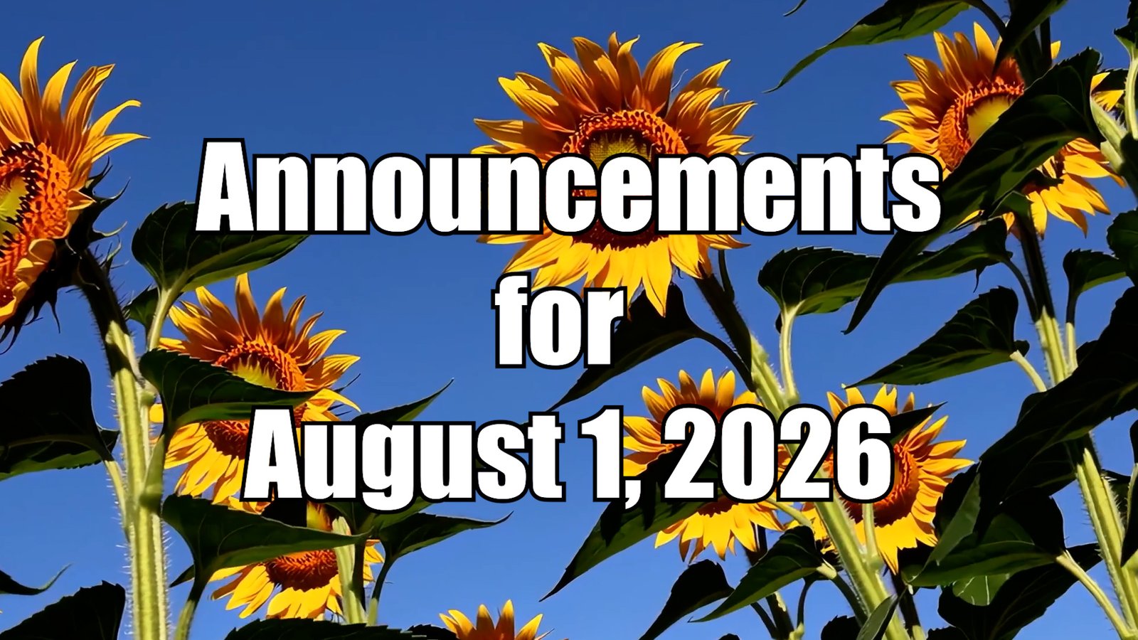 A cluster of bright yellow sunflowers with green leaves stands against a clear blue sky. White bold text over the image reads, “Announcements for August 1, 2026.”